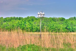 Wetlands birdhouse